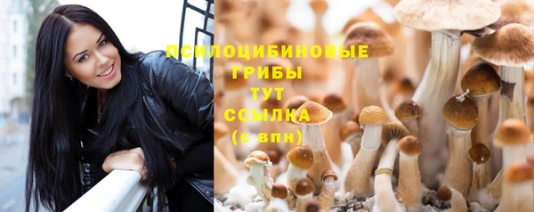 стафф Алексеевка