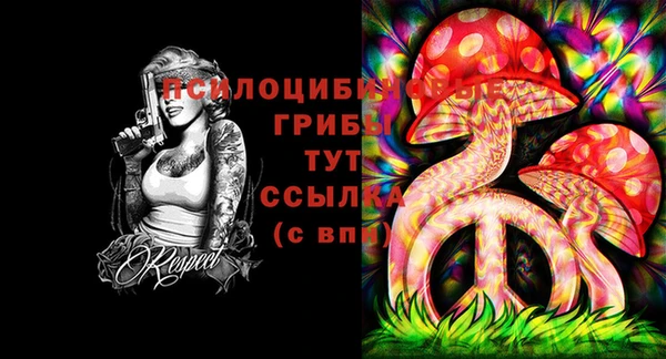 стафф Алексеевка