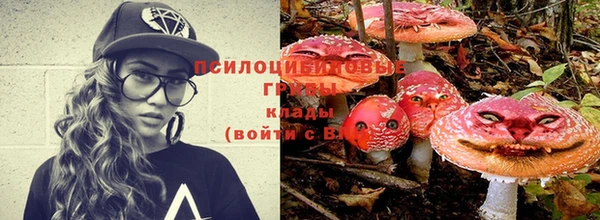 кокаин перу Алзамай
