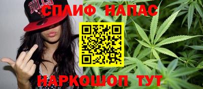 молекула духа Тверь