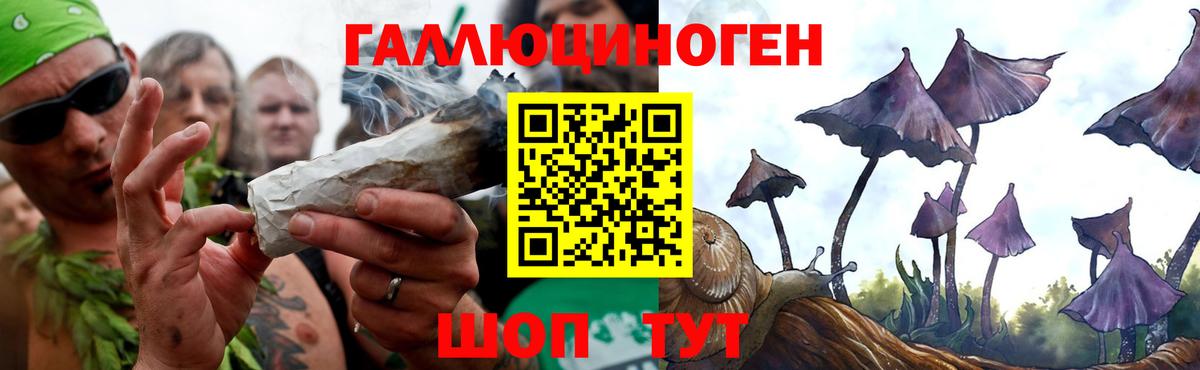 Псилоцибиновые грибы MAGIC MUSHROOMS Слободской